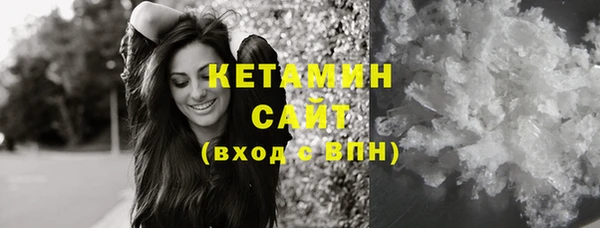 соль ск Ельня