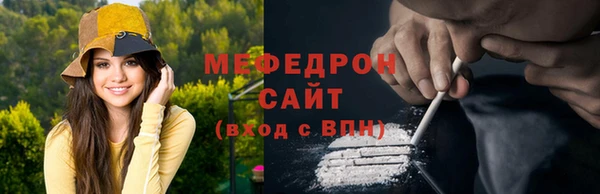 соль ск Ельня