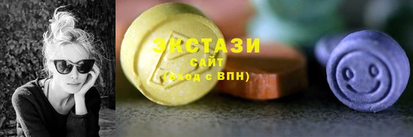 соль ск Ельня