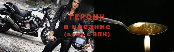 соль ск Ельня