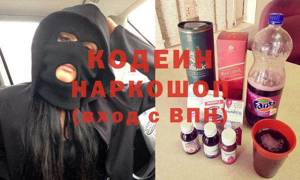соль ск Ельня