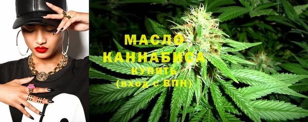 соль ск Ельня