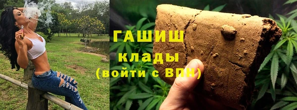 соль ск Ельня