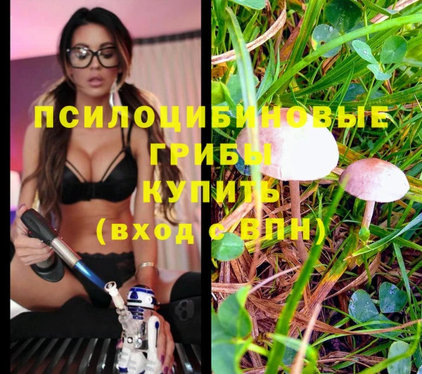 соль ск Ельня