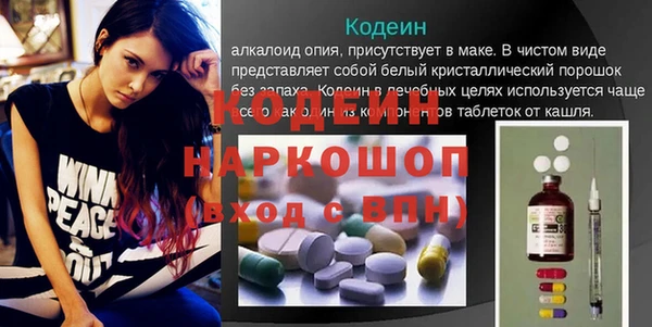 соль ск Ельня