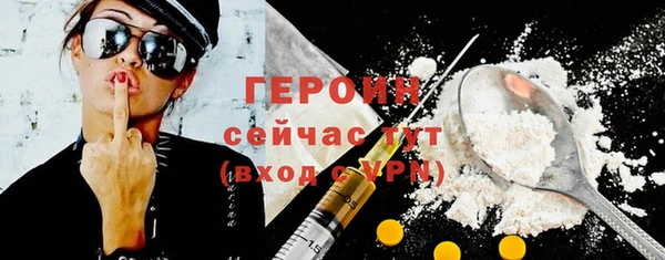 соль ск Ельня
