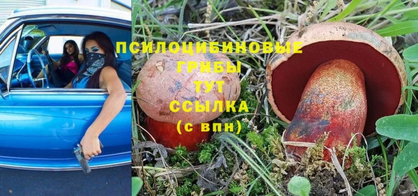 соль ск Ельня