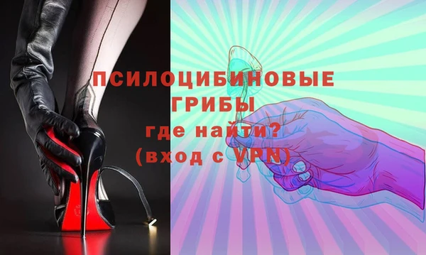 соль ск Ельня