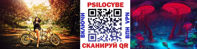 Купить  Зверево  Галлюциногенные грибы MAGIC MUSHROOMS 
